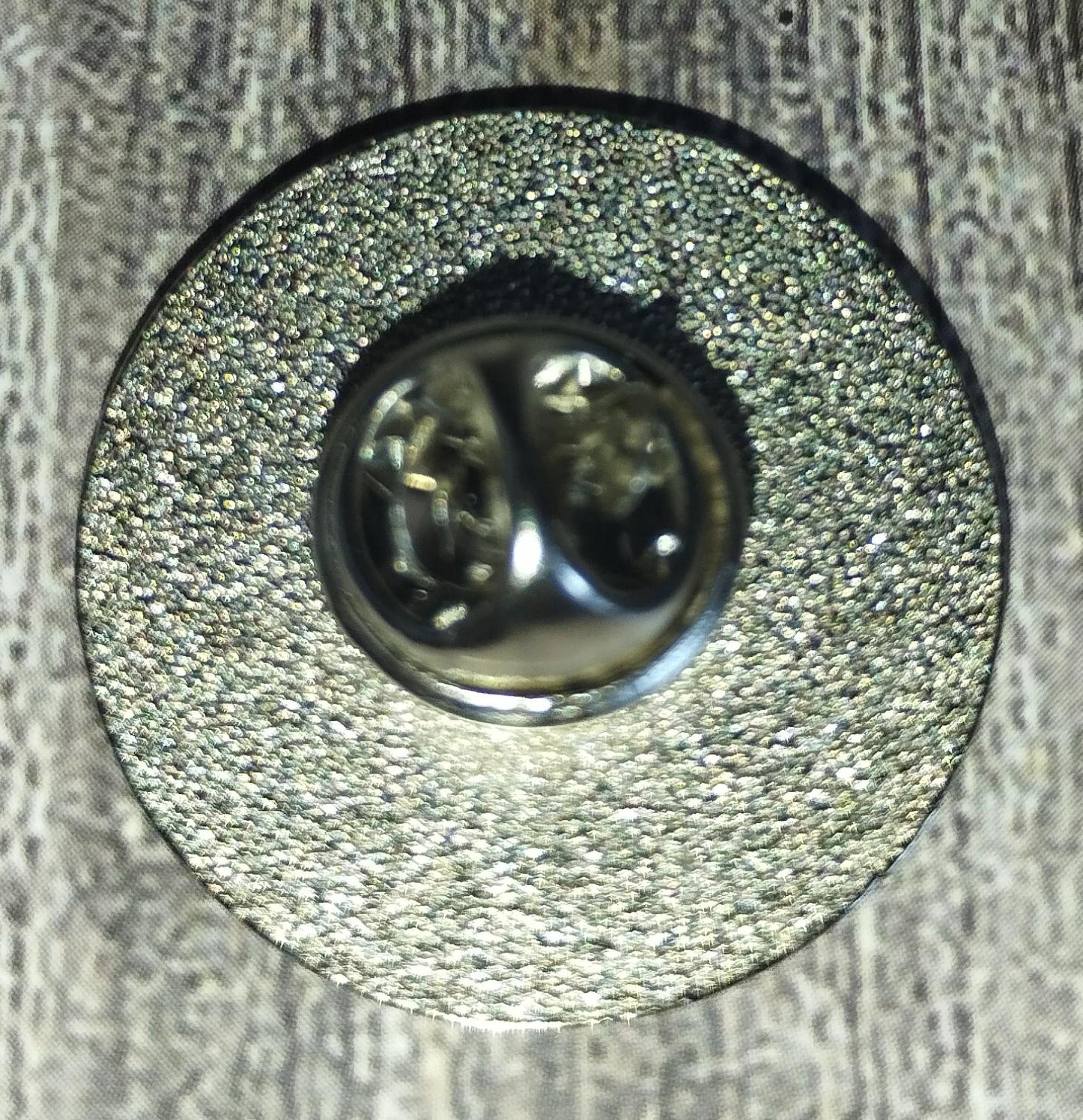 Skull Lapel Pin Badge: Metal Jacket Accessory