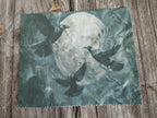 Raven Lens Cloth: Spooky Gothic Glasses Wipe