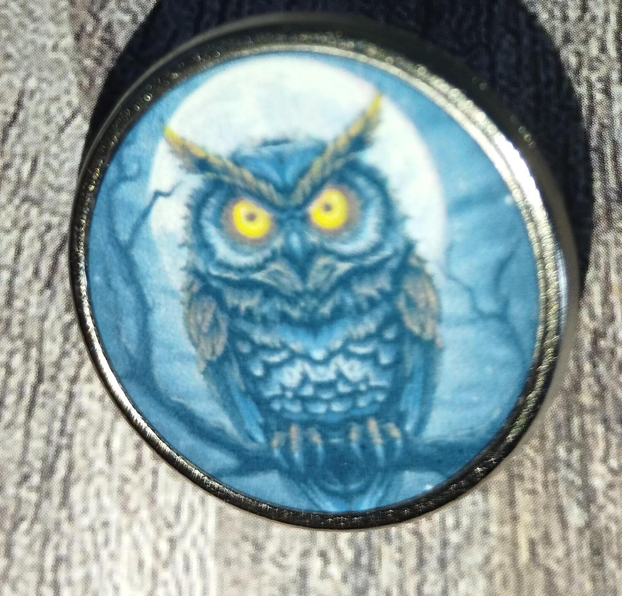 Gothic Owl Pin Badge: Metal Lapel Pin